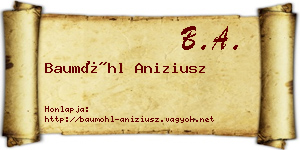 Baumöhl Aniziusz névjegykártya
